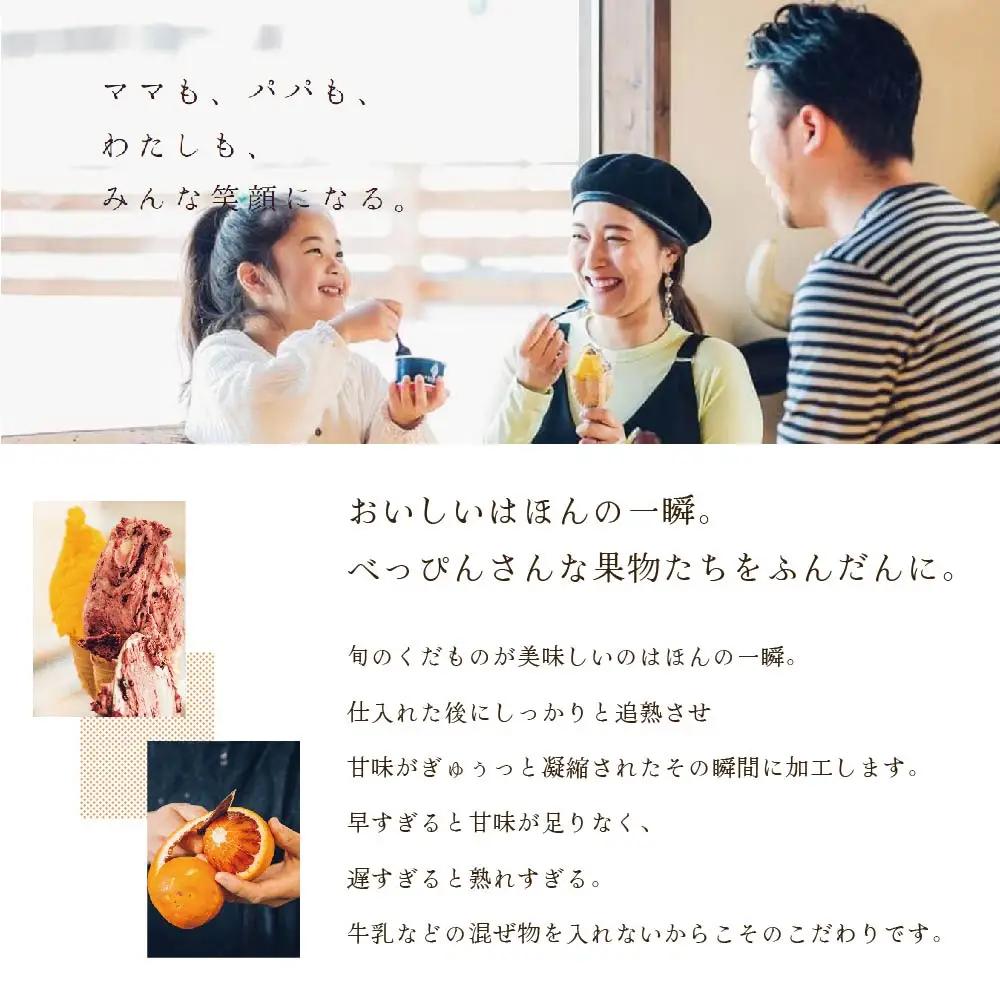 8種のアイスジェラート  （ あいす アイス ジェラート 北海道 別海町 人気 ふるさと納税 ）