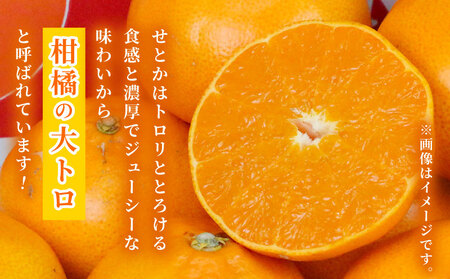 訳あり せとか 矢野青果 5 kg 先行予約 サイズ 不揃い みかん 高級柑橘 柑橘の 大トロ 愛媛ミカン 愛媛蜜柑 mikan 柑橘 果物 くだもの フルーツ 高級 ブランド 濃厚 甘い 甘味 蜜柑