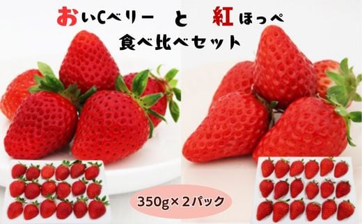 
            おいCベリーと紅ほっぺの食べ比べセット【約350g×2パック 苺 冷蔵 安来】
          