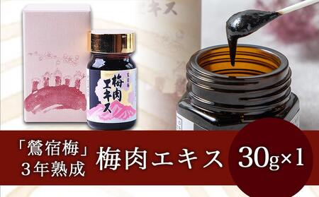 徳重おばあちゃんが受け継いだ梅肉エキス30g_AA-4901_(都城市) 鶯宿梅 おうしゅくばい 梅肉エキス(30g×1本) ミネラル成分たっぷり 栽培期間中農薬不使用の梅 梅エキス うめエキス 有限