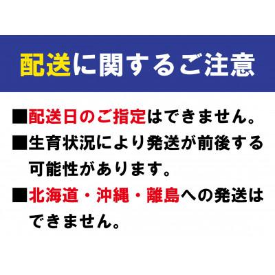 ふるさと納税 丸亀市 【発送月固定定期便】フルーツ 定期便 9回 丸亀のフルーツ 旬のお届け 香川県 丸亀市全9回 |  | 01