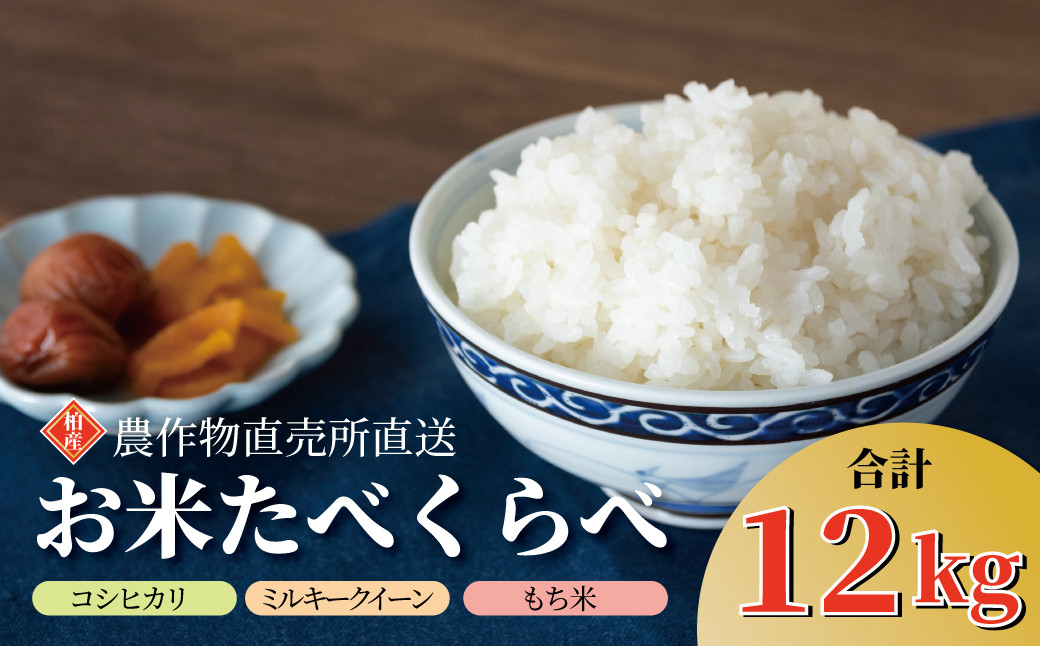 
            お米食べくらべ 〈  2024年産 コシヒカリ こしひかり ミルキークイーン もち米 食べ比べ 3種類 米 お米 新米 精米 白米 おこめ こめ 米 コメ 家庭用 国産 千葉エコファーマ― おすすめ 〉
          