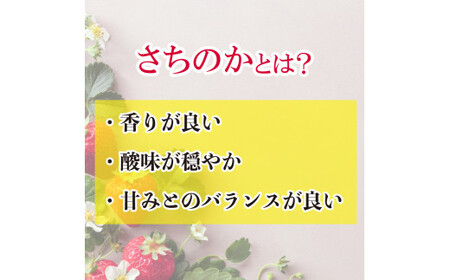 いちご さちのか 1kg 【 いちご 】 先行予約