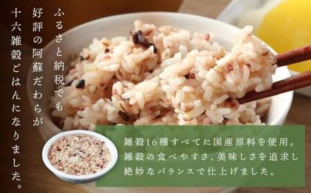 【定期便隔月6ヶ月】阿蘇だわら 十六雑穀ごはん パックライス 160g×30パック 十六雑穀 雑穀 ごはん 米  香り 甘み  国産 定期便 お米