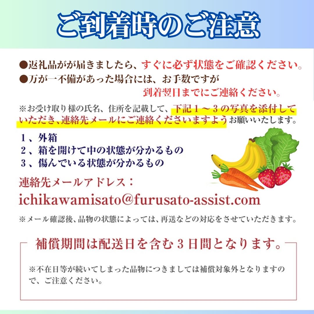 【山梨県南部町 共通返礼品】【カピオトマト】プレミアムフルティカ Mサイズ 500g 株式会社アクロプラス [5839-2225]