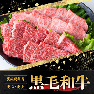 y426 《数量限定》希少部位イチボとトモサンカク焼肉食べ比べセット(イチボ250g・トモサンカク250g) 牛肉 お肉 焼肉 やきにく 赤身 BBQ バーベキュー 冷凍 希少 霜降り ご褒美【さつま