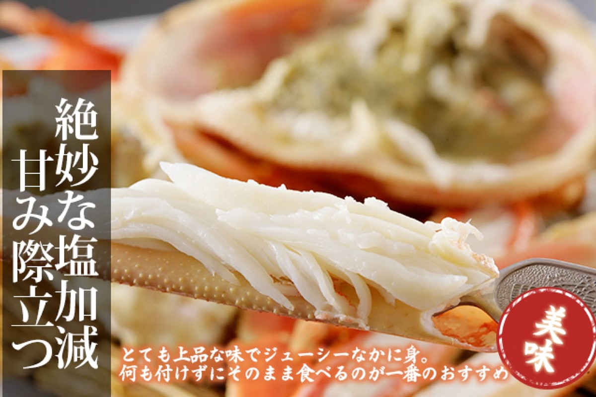 かに卸問屋がお届け・自社釜ゆで！山陰沖ゆで松葉がに 700ｇ～800ｇ 中大サイズ（1月～3月発送）／北畿水産　HK00240
