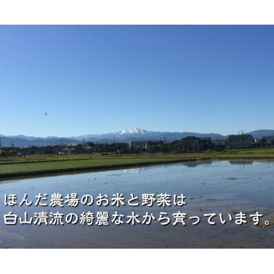 ふるさと納税 能美市 天日干有機米こしひかり「天地の誉」玄米5kg |  | 02