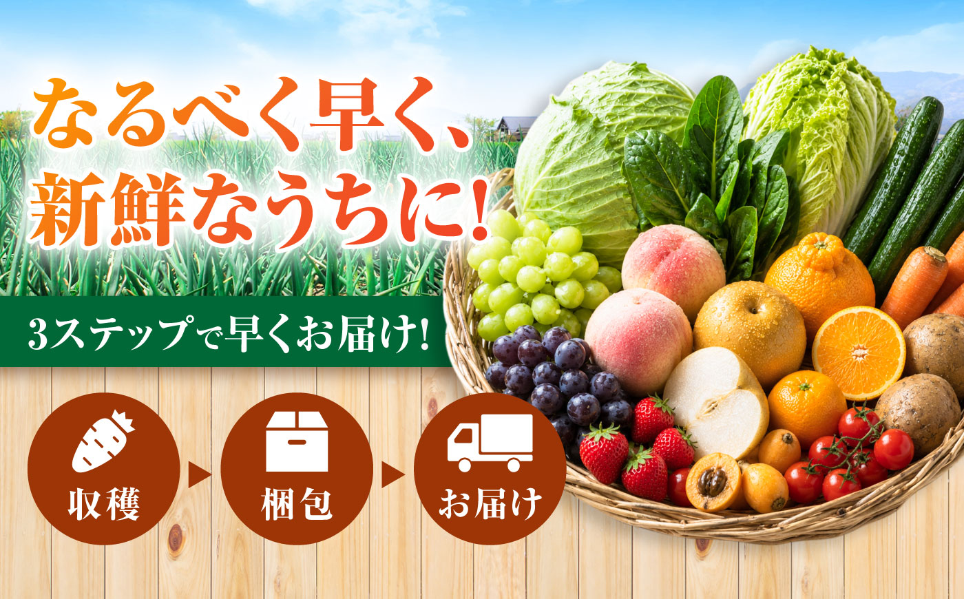【3回定期便】【産地直送】長崎県諫早産 旬の野菜＆フルーツ詰め合わせ 9～11品目程度 季節のおまかせセット / 野菜 フルーツ 果物 セット 詰め合わせ 旬野菜セット 旬のフルーツ 旬 食べ比べ 産
