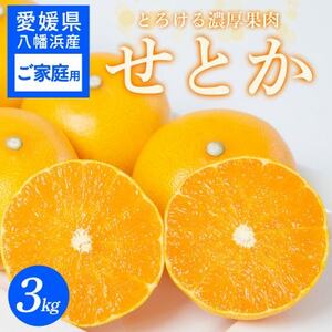 【ご家庭用】せとか 3kg 愛媛県 八幡浜産市 西宇和地区 柑橘の女王【C25-337】【1713684】