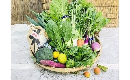 [野菜とお米5kgセット] 産地直送！新鮮とれたて旬の野菜＆ヒノヒカリ5kg ｜野菜セット 米5kg ヒノヒカリ 産地直送 奈良県 [3248]