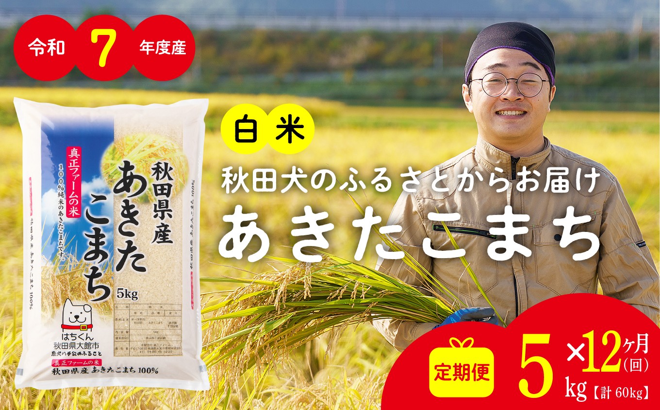 
                  【定期便12ヶ月】秋田県産あきたこまち(白米)5kg　/ 米 白米 5kg 令和7年産 秋田県産 あきたこまち 5kg×1袋 おにぎり 大館 東北 秋田 小分け こわけ 大館市 5キロ 5ｷﾛ 5きろ
                