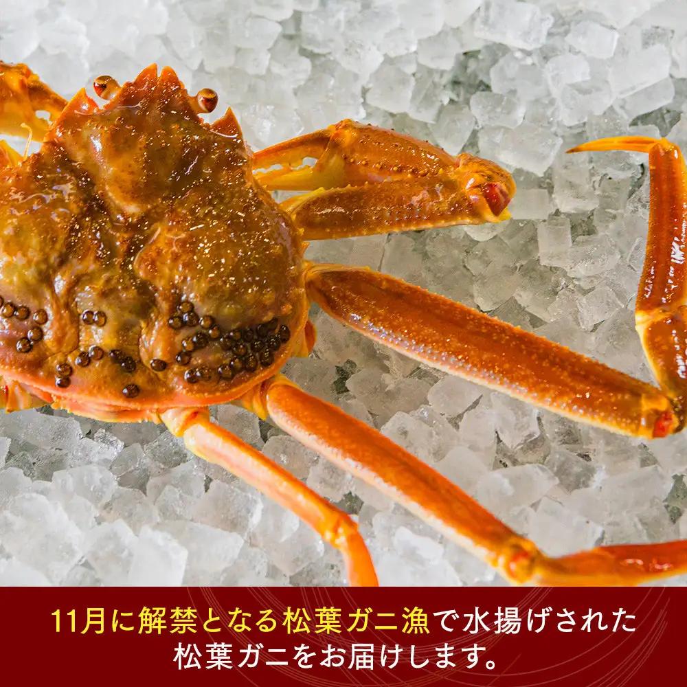 鳥取県産　タグ付きボイル松葉ガニと活松葉ガニの欲張りフルコース中2枚セット　(700g前後)  | カニ 松葉ガニ 活 ボイル 美味しさに 訳あり 大容量 　※2026年11月上旬～2027年3月下旬