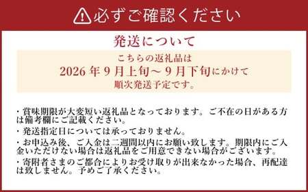 《先行予約》 「山之上果実農業協同組合」 山之上の梨 豊水 1箱 約 2.5kg 5-8玉 梨 なし ナシ 果物 旬 旬の果物【2026年9月上旬-9月下旬 発送予定】