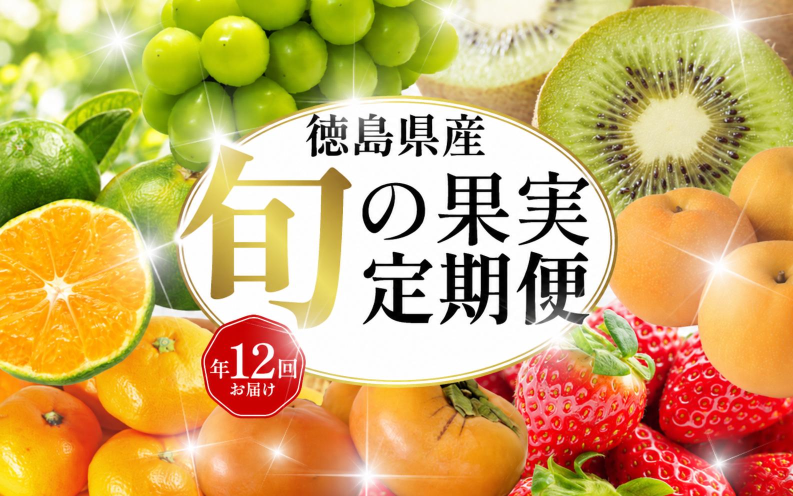 
                  旬の果実 定期便 12回 フルーツ 果物 野菜 季節 旬 詰め合せ 国産 おまかせ 産地直送 シャインマスカット いちご みかん キウイ 不知火 トマト 梨 柿 徳島県
                