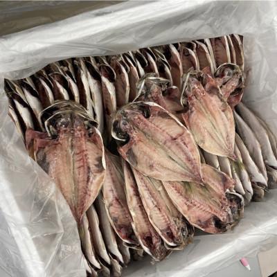 ふるさと納税 横須賀市 【訳あり】真アジの開き干物 約2.8kg(40枚前後)冷凍 |  | 01