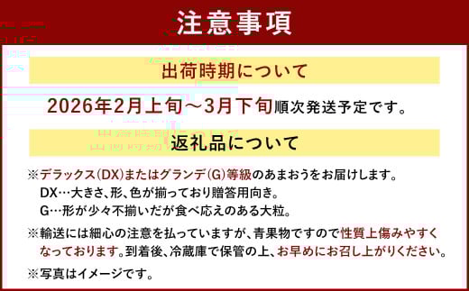 福岡産【春】 フルーツ専門店が選んだ あまおう 4パック いちご 苺 果物 フルーツ 福岡 太宰府【2026年2月上旬~3月下旬発送予定】