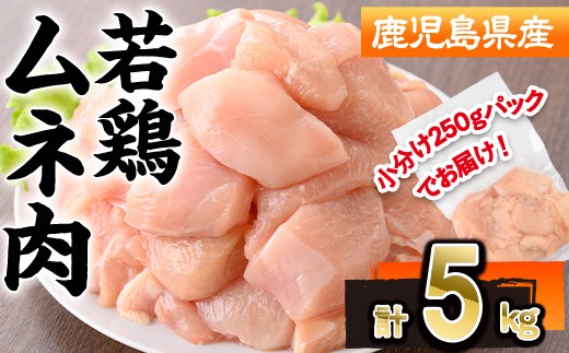
                  鹿児島県産若鶏ムネ肉(計5kg・250g×20P) 若鶏 ムネ 冷凍【株式会社羽根】A1090
                