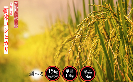 【定期便 | 3回配送】 令和7年産 新潟県 上越市産 コシヒカリ 5kg×3回 5キロ 精米 3ヶ月 米 お米 白米 お楽しみ