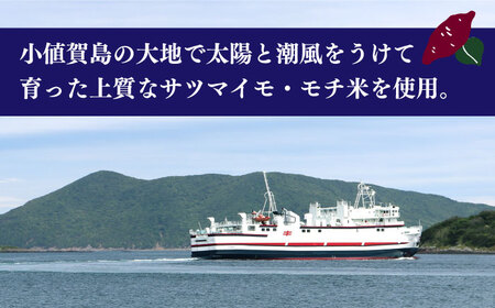 【12回定期便】カンコロチップス　プレーン　小袋　（１２袋入り）　しまうま商会　【小値賀町】 [DAB066]