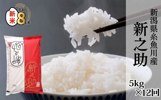【令和8年産新米】新潟県産 新之助 5kg×12回 60kg 糸魚川産 白米 2026年産 木島米穀店【米 お米 ご飯 ライス ふるさと納税米 ブランド米 しんのすけ 食品 おすすめ 人気 新潟県 糸魚川市 5キロ 60キロ お弁当 おにぎり】