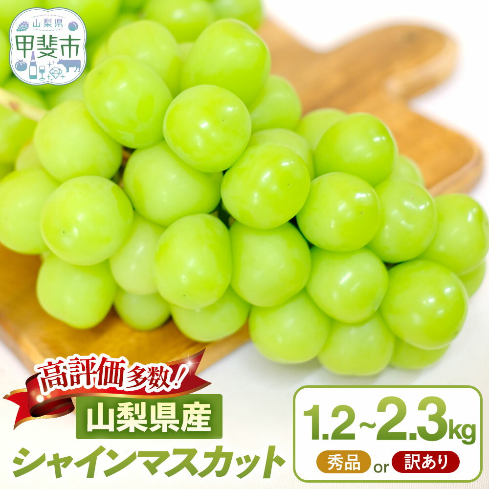 【ふるさと納税】【（2026年/令和8年）発送＜先行予約＞】山梨県産 朝採り新鮮 シャインマスカット 1.2kg　 果物 ぶどう フルーツ デザート 旬の果物 国産 　果物 ぶどう フルーツ デザート 食後 おやつ 国産 　シャインマスカット 訳あり 家庭用 山梨県 甲斐市