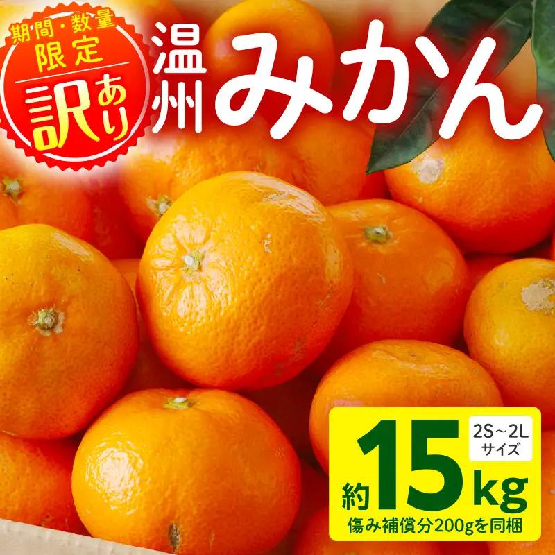果物 温州みかん 果物[訳あり 15kg 傷み補償分200gを同梱 2026年～2027年発送先行予約]
