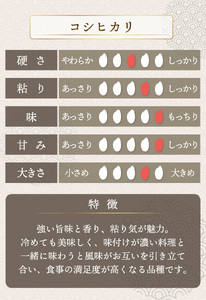 【定期便3回】コシヒカリ 無洗米 5kg（5kg×1）令和7年産 [095-t3-a014] 