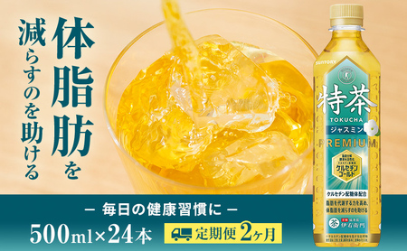 お茶 定期便 2ヶ月 特茶 ジャスミン 24本 お茶