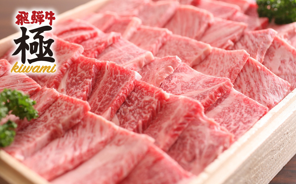 
            飛騨牛 焼肉 希少部位入り福袋 総重量1200g (1.2kg) 和牛 牛肉 肉 肩ロース カタロース 焼肉 切り落とし 焼き肉用 いろいろな料理に  飛騨市推奨特産品 岐阜県 飛騨市 
          