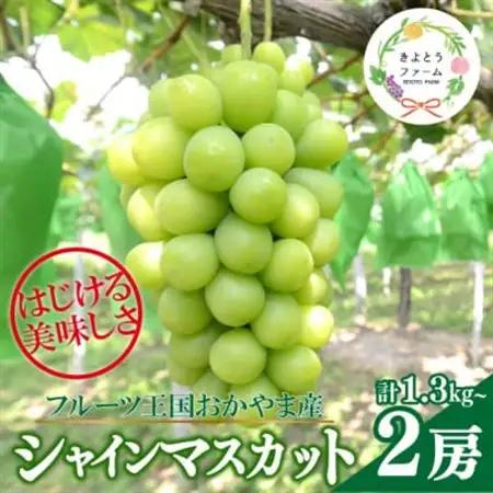 【数量限定】シャインマスカット 大サイズ 2房入/計1.3kg～(岡山県産) 贈答にもおすすめ!【配送不可地域：離島】【1548991】