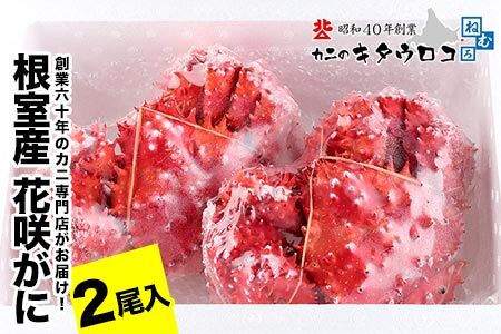 【北海道根室産】花咲がに550g～650g前後×2尾 B-25030