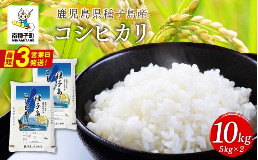 《令和8年産米 新米》 種子島産コシヒカリ 10kg 米 お米 こめ コメ 精米 白米 コシヒカリ こしひかり 食品 グルメ お取り寄せ おすそわけ 人気 おすすめ ギフト 南種子町 鹿児島 かごしま 【有限会社新栄物産】
