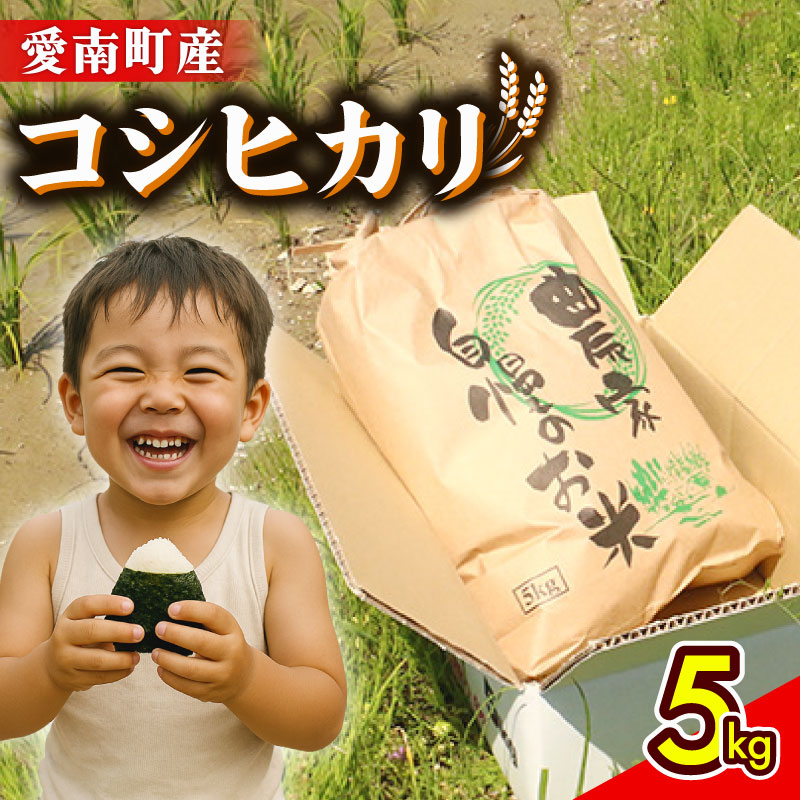令和8年産 新米 コシヒカリ 5kg 米 お米 白米 精米 こしひかり 人気 産地直送 国産 農家直送 期間限定 数量限定 特産品 2026年産 大粒 もっちり 粘り 甘み おいしい おにぎり 贈答品 プレゼント 和家農園 愛南町 愛媛県