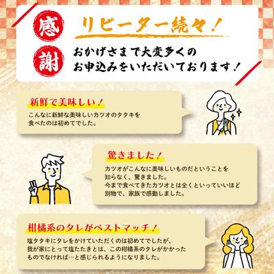 ふるさと納税 四万十市 【5・7・9月にお届け】中村でしか食べられない伝統の味カツオの塩タタキセット『生』約400g 26 |  | 01