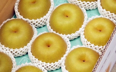 幸水 先行予約 和梨 幸水 自家用 5kg [8月下旬～順次発送予定] 訳あり 幸水 新潟県産 幸水 梨 [岩福農園] 