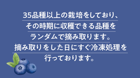 茨城県産 冷凍 ブルーベリー 合計 1kg (250g×4袋)【2025年7月中旬から発送開始】 多品種 果実 果物 くだもの フルーツ おやつ ブルーベリー ベリー ジャム 小分け [DZ018sa