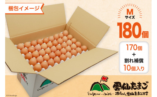 BI049 3回 定期便 どっさり！ 雲仙たまごMサイズ 180個(170個＋割れ補償10個入り) [ 卵 たまご 生卵 鶏卵 赤卵 玉子 新鮮 塚ちゃん雲仙たまご村 長崎県 島原市 ]