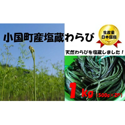 【ふるさと納税】塩蔵わらび1kg(500g×2パック)【1776028】