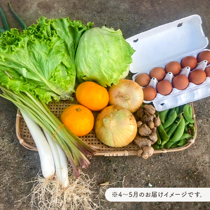 4月発送　農薬・化学肥料を持たない農家の野菜（7～10種類）と 平飼有精卵のセット 旬野菜 指定野菜 鶏卵 加工品 果物 蒟蒻 味噌 露地栽培 自家栽培 農業