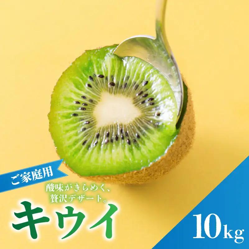 キウイフルーツ ヘイワード 10kg キウイ 【RNK0201】