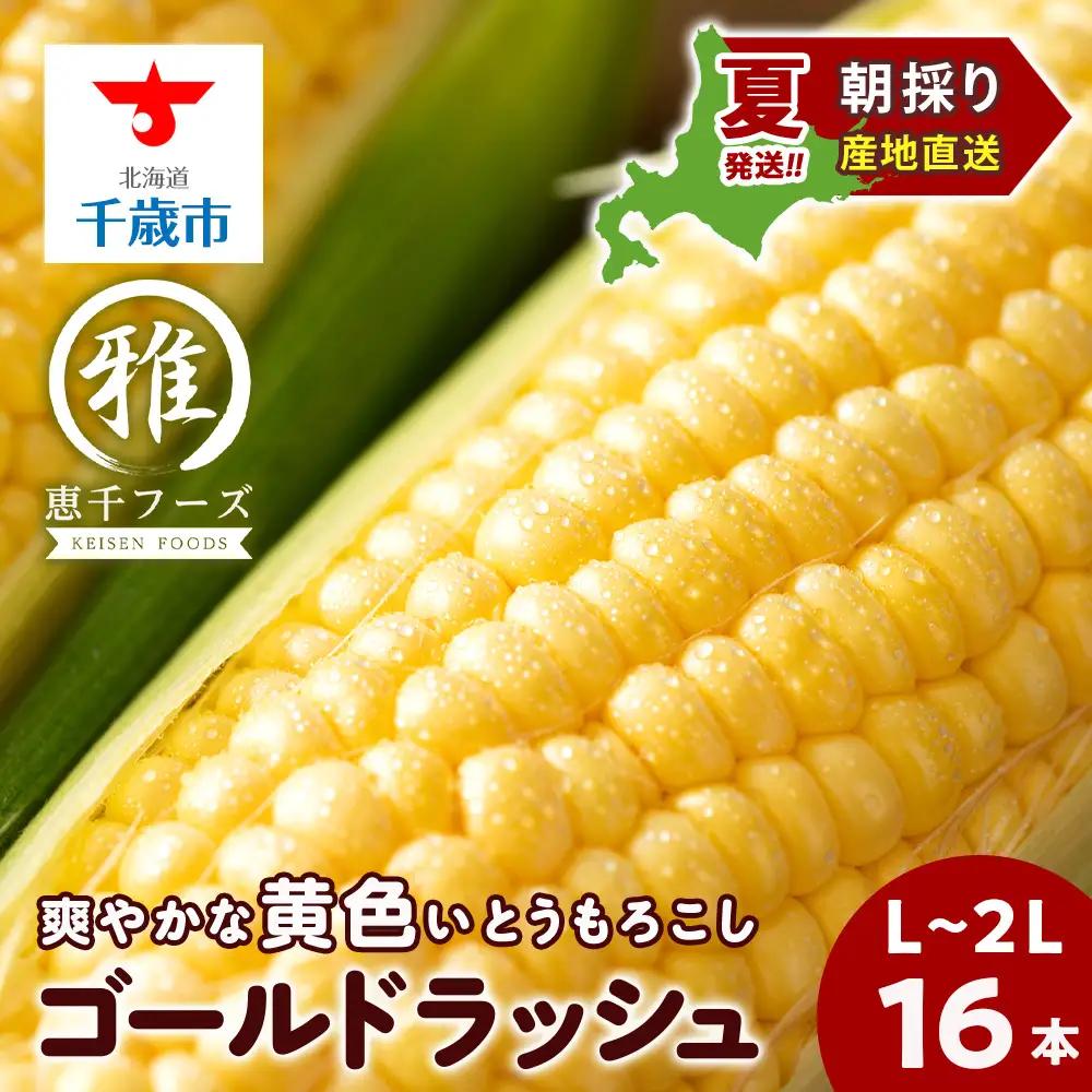 2026年夏発送 とうもろこし ゴールドラッシュ L～2L 16本