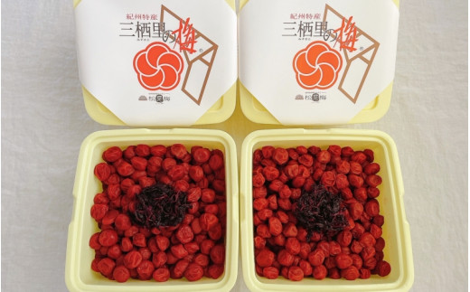 ＼レビューキャンペーン中／ 紀州小梅　しそ小梅（塩分13％）　4kg(2kg×2個）  / 田辺市 紀州南高梅 南高梅 梅干し 梅干 梅  肉厚 お米 おにぎり 焼酎 梅酒 健康 小梅 【ske049