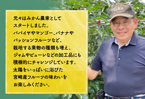 《2025年発送先行予約》【期間・数量限定】8年かけて誕生した宮崎県産極上パッションフルーツＭ　2kg