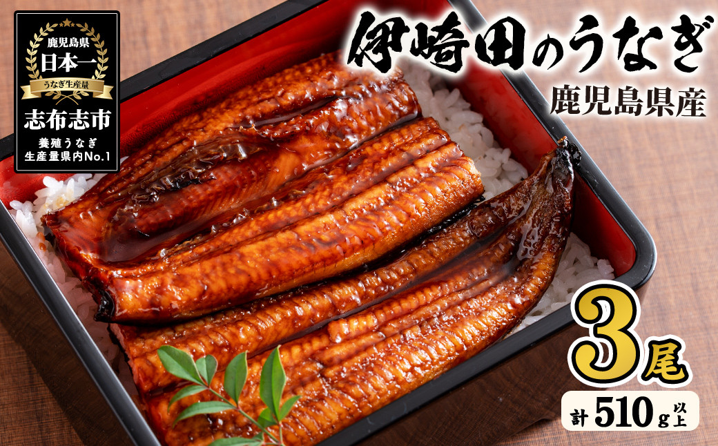 
            【数量限定】鹿児島県産 伊崎田のうなぎ蒲焼 大＜170g以上＞× 3尾(計510g以上) 鰻 うなぎ ウナギ 蒲焼き 3尾 国産 九州産 鹿児島県産 冷凍 おつまみ 鰻重 うな丼 b3-011
          
