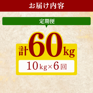 【令和8年産】 米 定期便 10kg×6回 にこまる 米 AG012