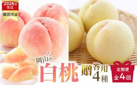 【2026年発送分　先行受付開始！】【定期便】びぜん白桃　贈答用セット　約1.5kg×4回発送（令和8年6月下旬～7月頃発送）【桃】