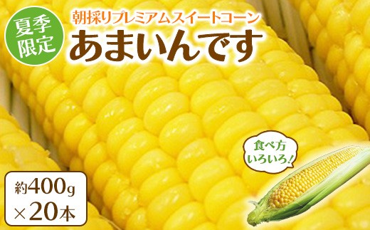 
                  夏季限定 朝採り プレミアムスイートコーン 「あまいんです」 20本 約8kg | 激甘 フルーツとうもろこし 産地直送 ※2026年8月～発送
                