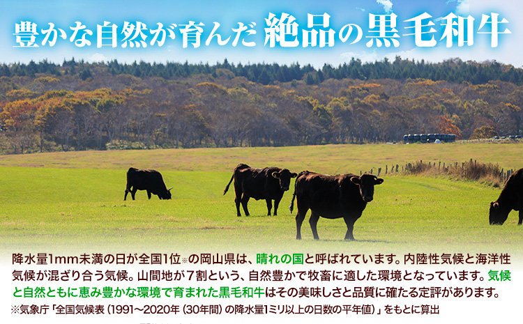 牛肉 黒毛和牛 切り落とし 1kg 《30日以内に出荷予定(土日祝除く)》 岡山県 矢掛町 牛 牛肉 和牛 牛肉 岡山県牛肉 小分け 小分けパック 250g ---ofn_fokw_30d_24_13