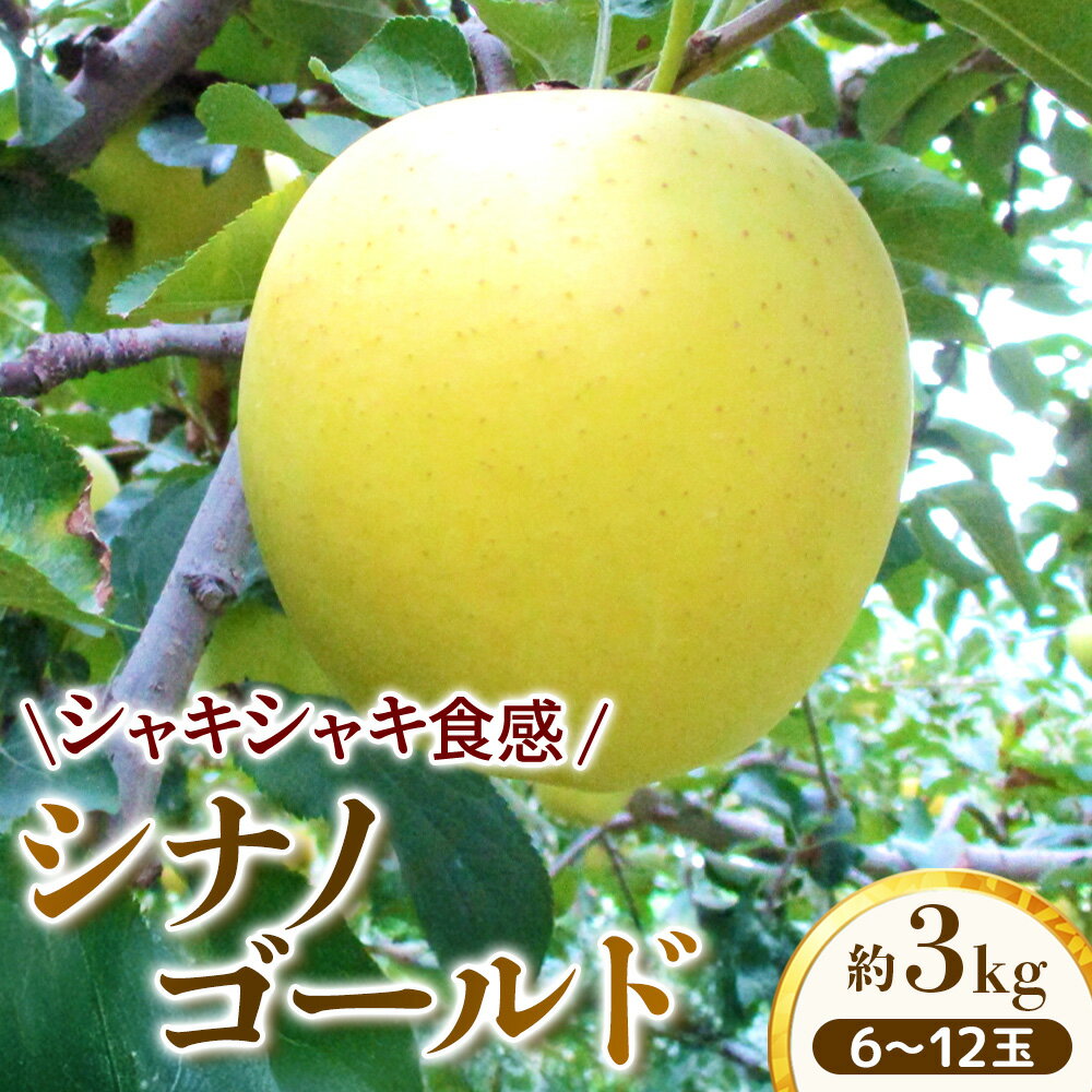 【ふるさと納税】【家庭用】りんご シナノゴールド 約3kg【2026年4月下旬まで順次発送】スマートフレッシュ｜ 林檎｜リンゴ｜6～12玉｜フルーツ｜果物｜長野県｜南信州｜豊丘村